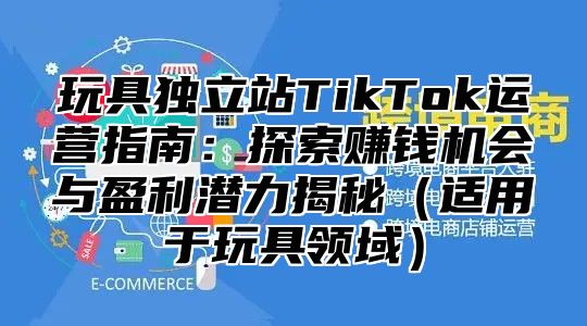 玩具独立站TikTok运营指南：探索赚钱机会与盈利潜力揭秘适用于玩具领域