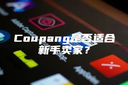 Coupang是否适合新手卖家？