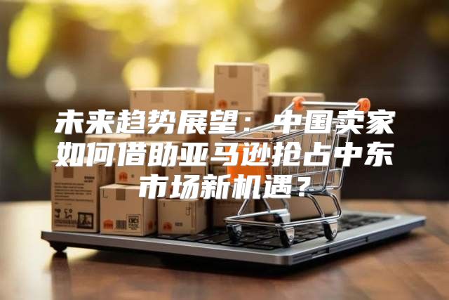 未来趋势展望：中国卖家如何借助亚马逊抢占中东市场新机遇？