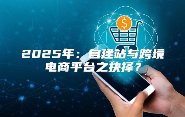 2025年：自建站与跨境电商平台之抉择？