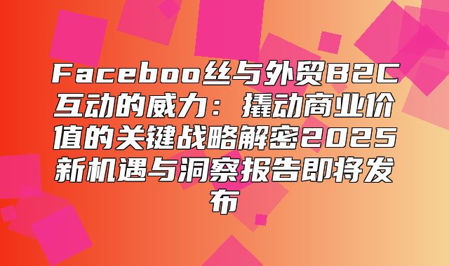Faceboo丝与外贸B2C互动的威力：撬动商业价值的关键战略解密2025新机遇与洞察报告即将发布