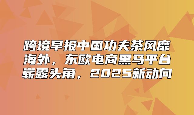 跨境早报中国功夫茶风靡海外，东欧电商黑马平台崭露头角，2025新动向