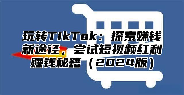 玩转TikTok：探索赚钱新途径，尝试短视频红利赚钱秘籍2025版