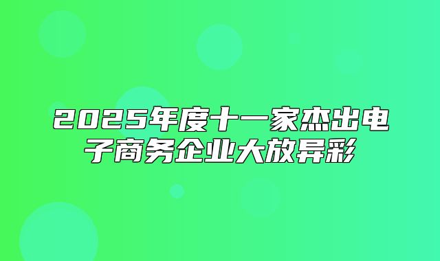 2025年度十一家杰出电子商务企业大放异彩