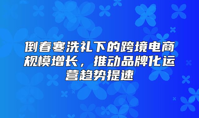 倒春寒洗礼下的跨境电商规模增长，推动品牌化运营趋势提速