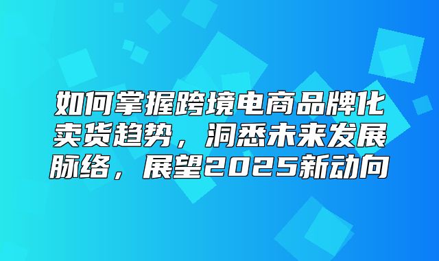 如何掌握跨境电商品牌化卖货趋势，洞悉未来发展脉络，展望2025新动向
