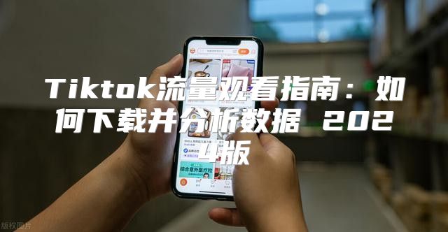 Tiktok流量观看指南：如何下载并分析数据 2025版