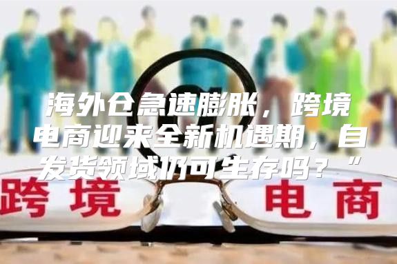海外仓急速膨胀，跨境电商迎来全新机遇期，自发货领域仍可生存吗？”