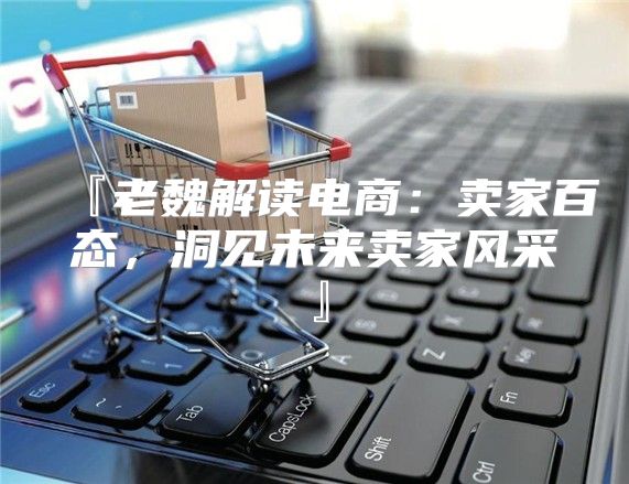 『老魏解读电商：卖家百态，洞见未来卖家风采』