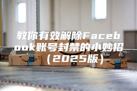 教你有效解除Facebook账号封禁的小妙招2025版