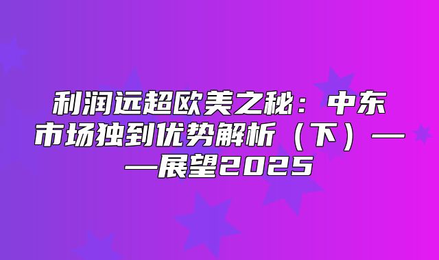 利润远超欧美之秘：中东市场独到优势解析下——展望2025