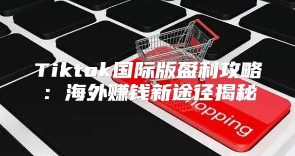 Tiktok国际版盈利攻略：海外赚钱新途径揭秘