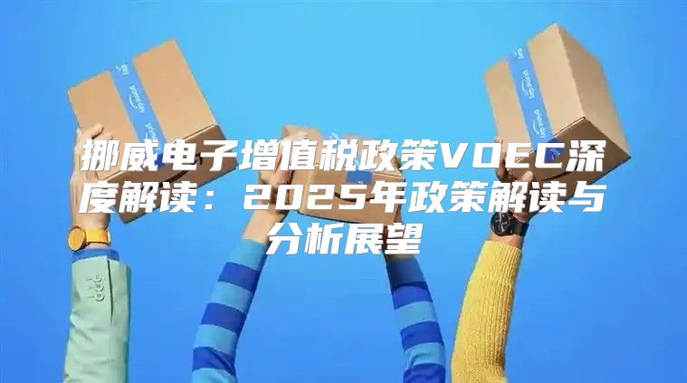 挪威电子增值税政策VOEC深度解读：2025年政策解读与分析展望