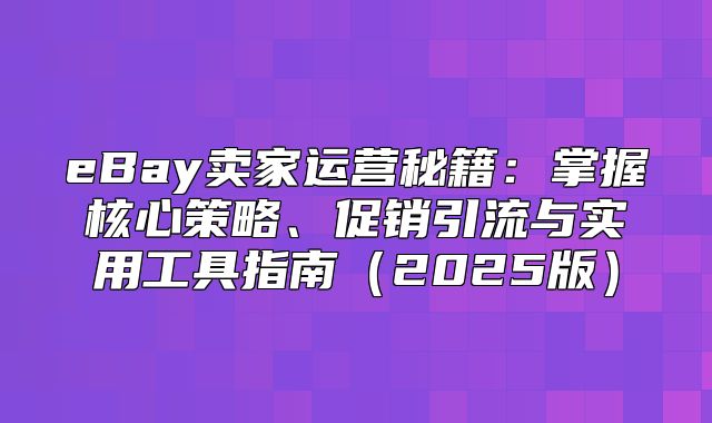 eBay卖家运营秘籍：掌握核心策略、促销引流与实用工具指南2025版
