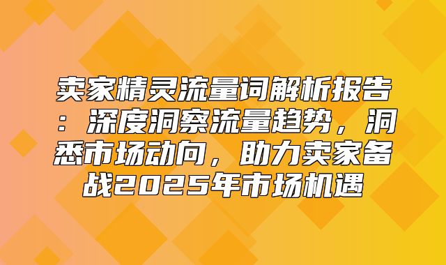 卖家精灵流量词解析报告：深度洞察流量趋势，洞悉市场动向，助力卖家备战2025年市场机遇