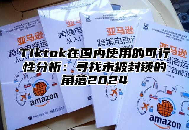 Tiktok在国内使用的可行性分析：寻找未被封锁的角落2025