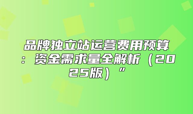 品牌独立站运营费用预算：资金需求量全解析2025版”