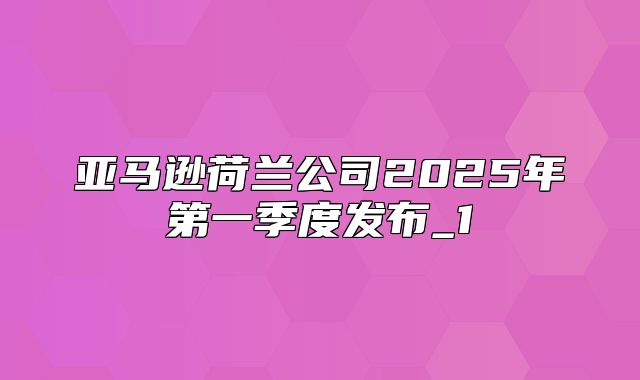 亚马逊荷兰公司2025年第一季度发布_1