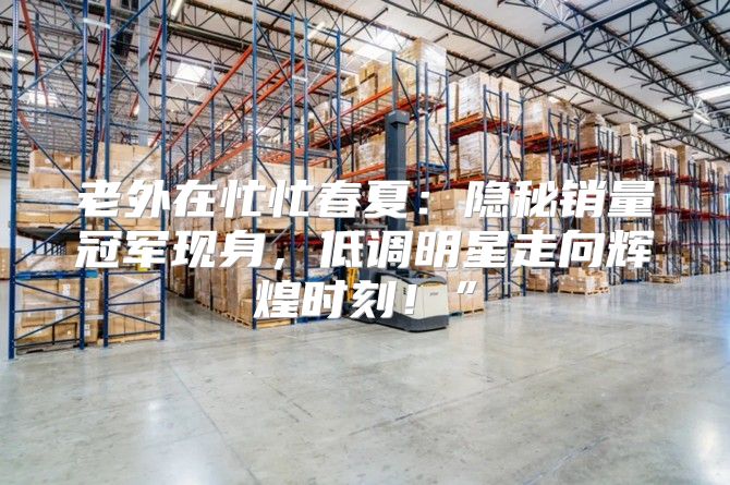 老外在忙忙春夏：隐秘销量冠军现身，低调明星走向辉煌时刻！”