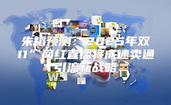 朱韬预测：2025年双11”网红直播将成速卖通引流新战略