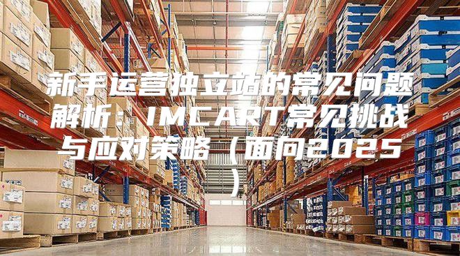 新手运营独立站的常见问题解析：IMCART常见挑战与应对策略面向2025