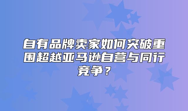 自有品牌卖家如何突破重围超越亚马逊自营与同行竞争？