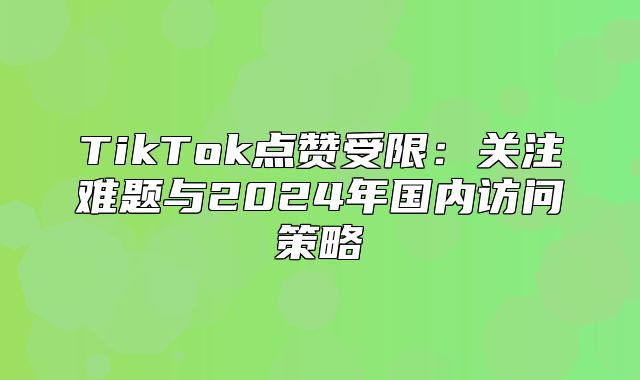 TikTok点赞受限：关注难题与2025年国内访问策略