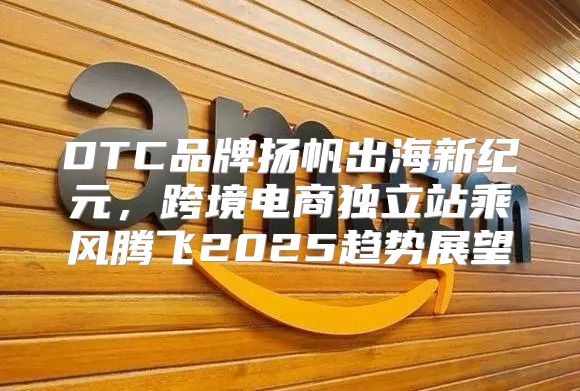 DTC品牌扬帆出海新纪元，跨境电商独立站乘风腾飞2025趋势展望