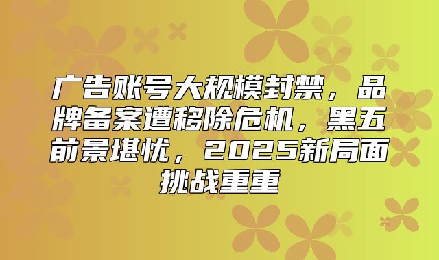 广告账号大规模封禁，品牌备案遭移除危机，黑五前景堪忧，2025新局面挑战重重