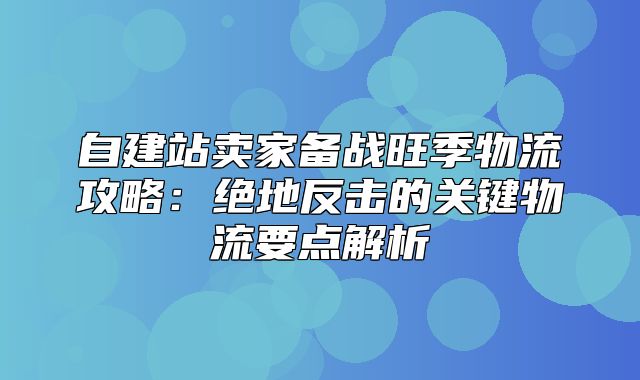 自建站卖家备战旺季物流攻略：绝地反击的关键物流要点解析