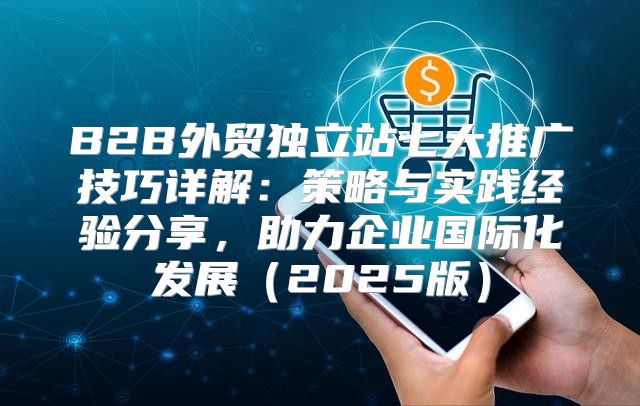 B2B外贸独立站七大推广技巧详解：策略与实践经验分享，助力企业国际化发展2025版