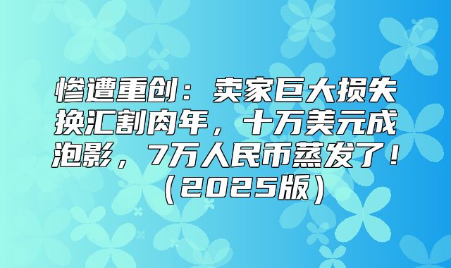 惨遭重创：卖家巨大损失换汇割肉年，十万美元成泡影，7万人民币蒸发了！2025版
