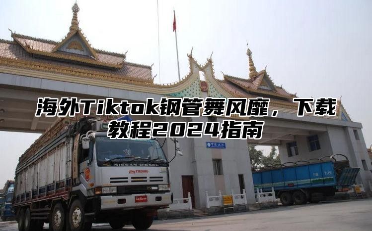 海外Tiktok钢管舞风靡，下载教程2025指南