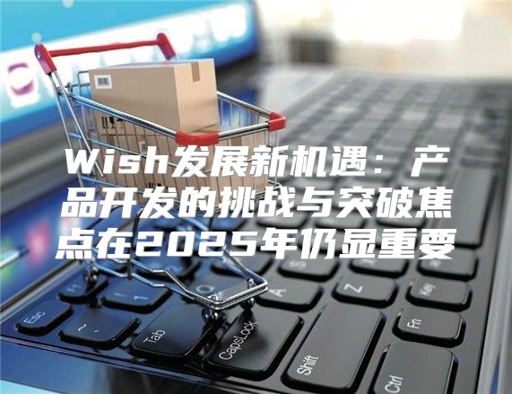Wish发展新机遇：产品开发的挑战与突破焦点在2025年仍显重要