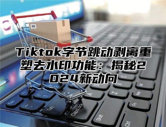 Tiktok字节跳动剥离重塑去水印功能：揭秘2025新动向