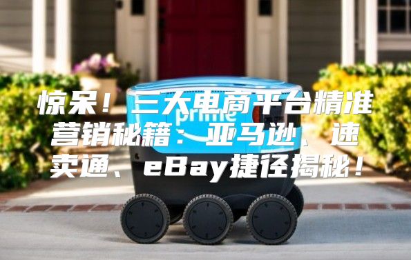 惊呆！三大电商平台精准营销秘籍：亚马逊、速卖通、eBay捷径揭秘！