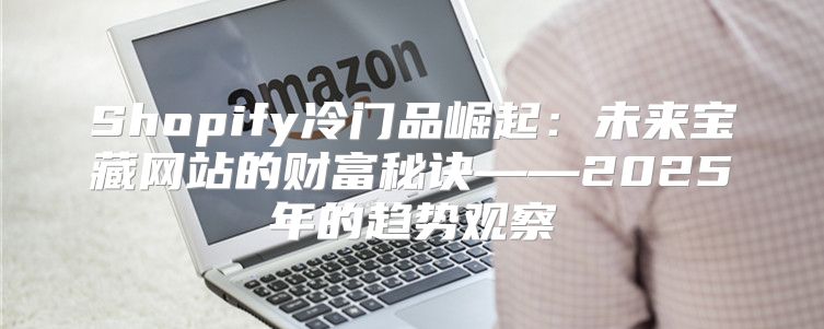 Shopify冷门品崛起：未来宝藏网站的财富秘诀——2025年的趋势观察