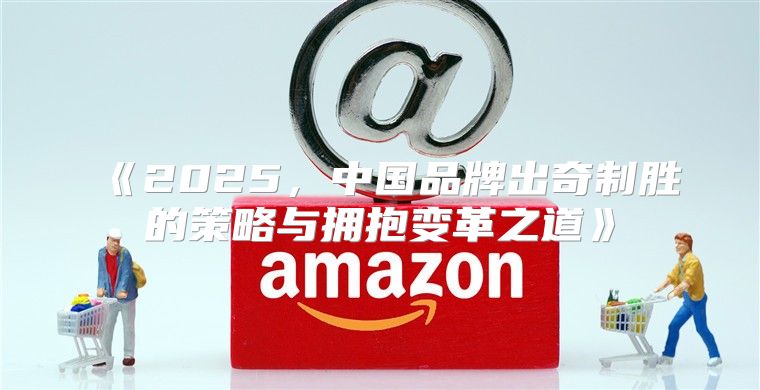 2025，中国品牌出奇制胜的策略与拥抱变革之道