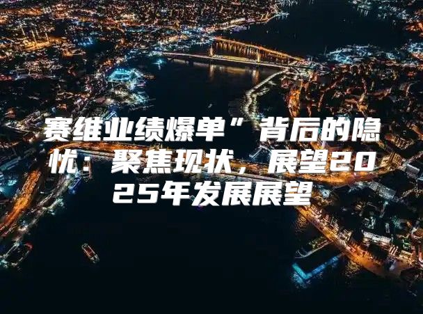 赛维业绩爆单”背后的隐忧：聚焦现状，展望2025年发展展望