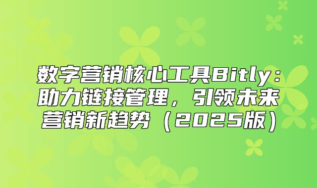 数字营销核心工具Bitly：助力链接管理，引领未来营销新趋势2025版