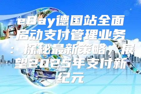eBay德国站全面启动支付管理业务：探秘最新策略，展望2025年支付新纪元
