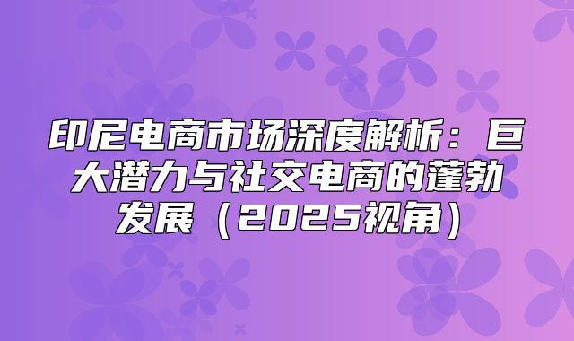 印尼电商市场深度解析：巨大潜力与社交电商的蓬勃发展2025视角