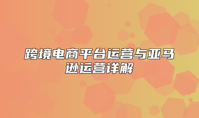 跨境电商平台运营与亚马逊运营详解