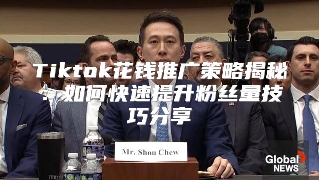 Tiktok花钱推广策略揭秘：如何快速提升粉丝量技巧分享
