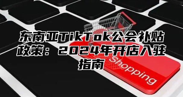 东南亚TikTok公会补贴政策：2025年开店入驻指南