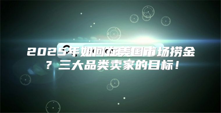 2025年如何在美国市场捞金？三大品类卖家的目标！