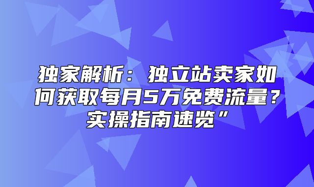 独家解析：独立站卖家如何获取每月5万免费流量？实操指南速览”