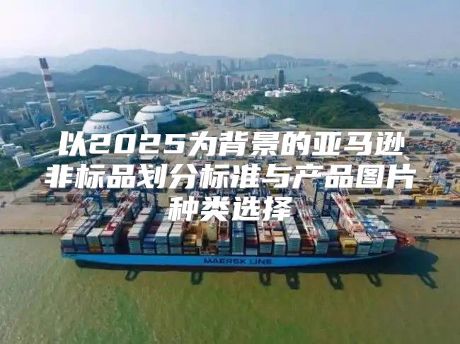 以2025为背景的亚马逊非标品划分标准与产品图片种类选择