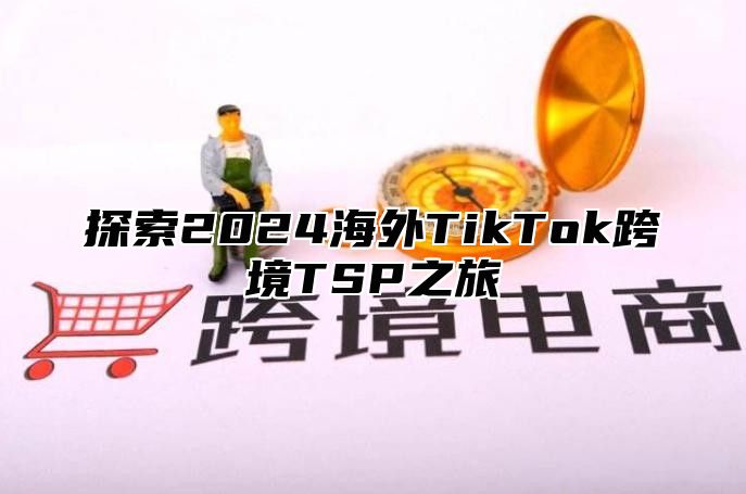 探索2025海外TikTok跨境TSP之旅