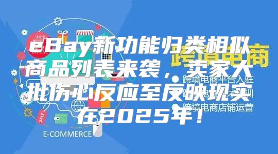 eBay新功能归类相似商品列表来袭，卖家大批伤心反应至反映现实在2025年！
